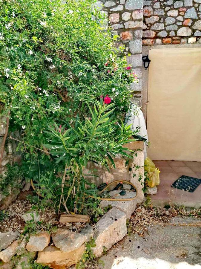 Willa Traditional Stone House In Chios Chios Island Zewnętrze zdjęcie